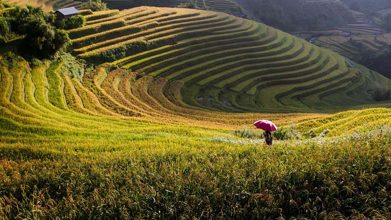 vietnam