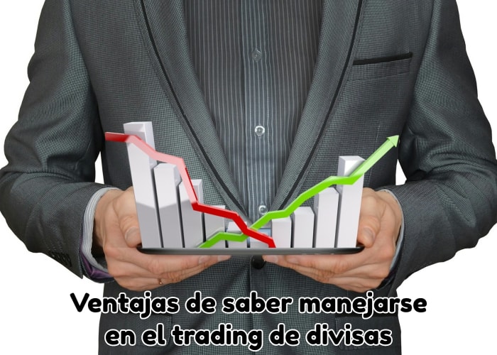 persona sosteniendo el mercado de divisas en sus manos