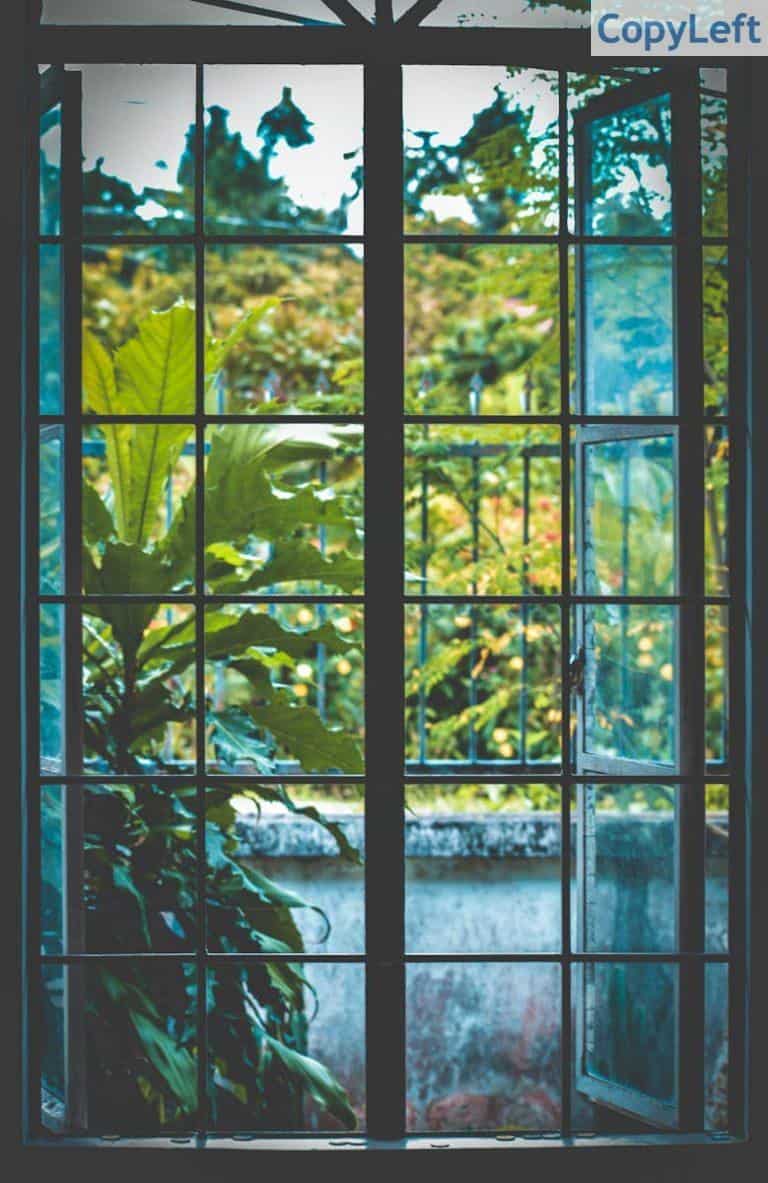 Open Black Metal Framed Clear Glass Window Near Plants