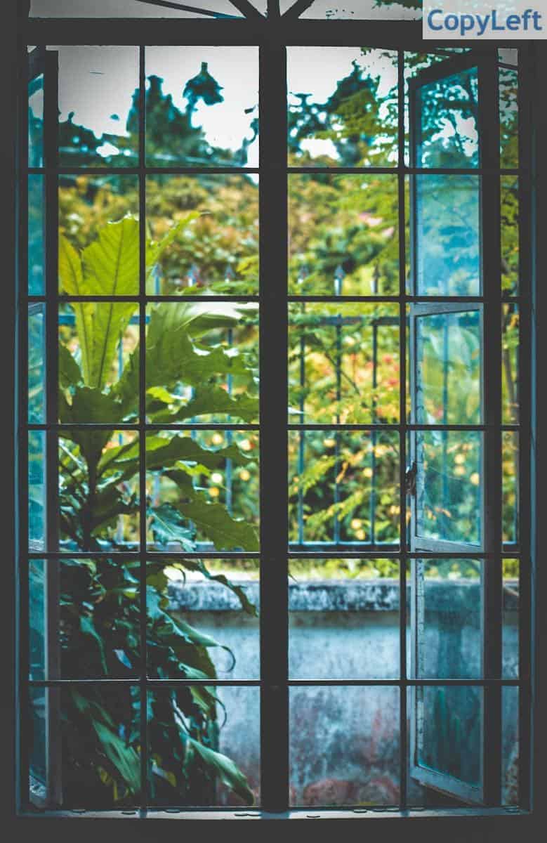 Open Black Metal Framed Clear Glass Window Near Plants