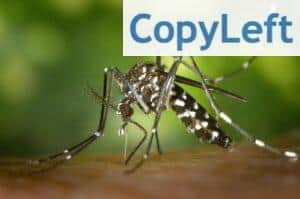 ¿Es posible un mundo sin mosquitos?